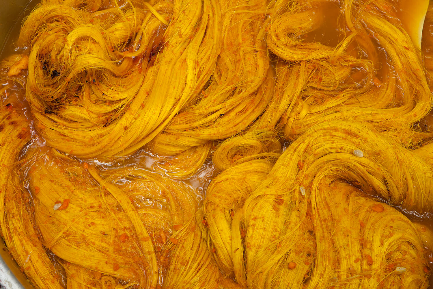 CURCUMA_galeria 22_MG_6628.jpg